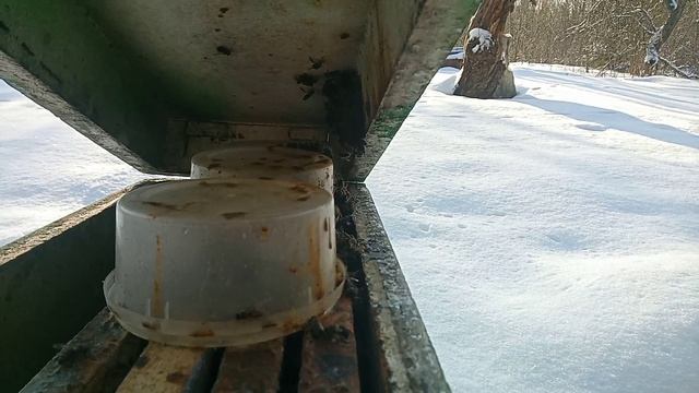 Пчеловодство. Потери продолжаются смотреть онлайн