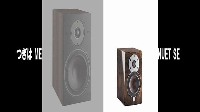 【 DALI 】スピーカー MENUET SE ＆ OBERON3 ブックシェルフ型 聴き比べ ／LUXMAN 真空管アンプ ( 空気録音 ) смотреть онлайн