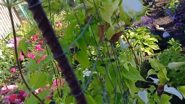 Хроника дня.Жизнь в деревне. смотреть онлайн