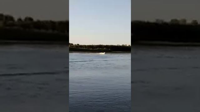 Лодка надувная ПВХ Honda T-40, АЕ1, 4 м смотреть онлайн