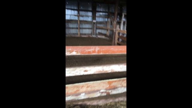 Солонка для овец и общий вид кошары изнутри на сегодняшний день смотреть онлайн