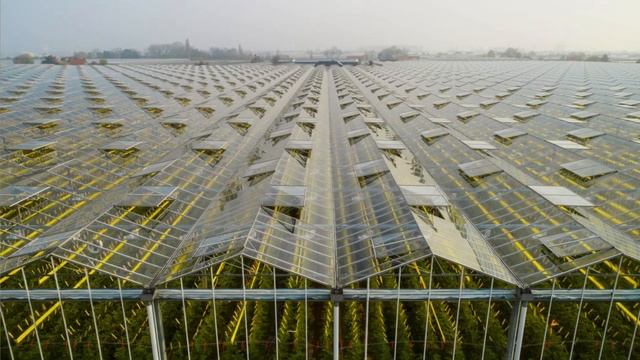 Акарицид Акрамайт - эффективное средство защиты против клещей на всех стадиях развития