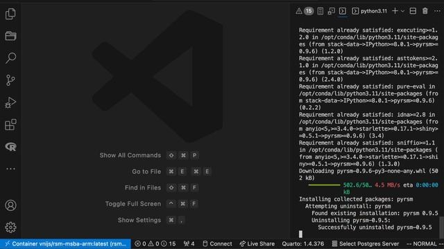 Install and updating python packages for the RSM-MSBA docker container смотреть онлайн