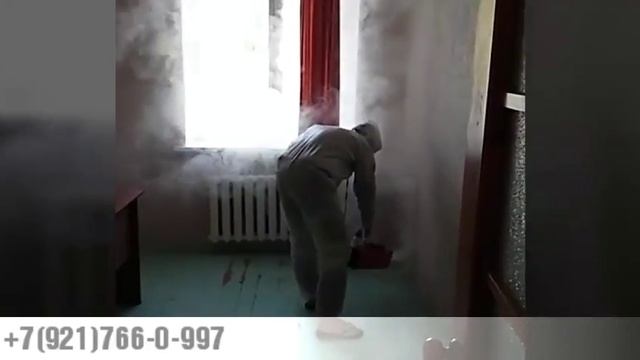 Уничтожение насекомых сухим туманом смотреть онлайн