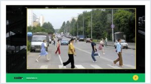 Лекция 3 - Общие обязанности пешеходов.