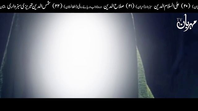 Quwat e Mudafiat Barhane Ka Tarika | Strong Immunity | Hazrat Imam Ali as | Mehrban Ali Quwat e Baa смотреть онлайн