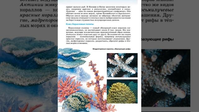 Биология 8к СТР-26 Тип Кишечнополостные смотреть онлайн