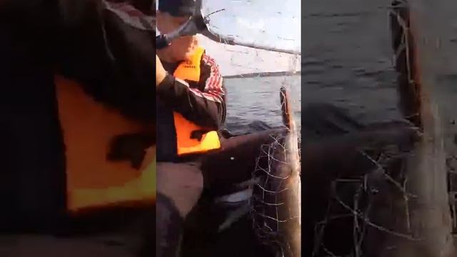 Щука на воблер. Озеро Синара. смотреть онлайн