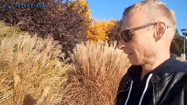 vlog parc ep 1 . смотреть онлайн