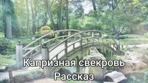 Капризная свекровь -Никогда и ни в чём свекрови не угодишь | интересные истории. | Слушать рассказы