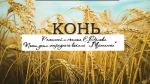 РОССИЯ, ПЕСНЯ "КОНЬ"