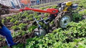 ДИСКОВЫЕ ОКУЧНИКИ с упорными  колесами, это лучший вариант и  мотоблок работает сам!