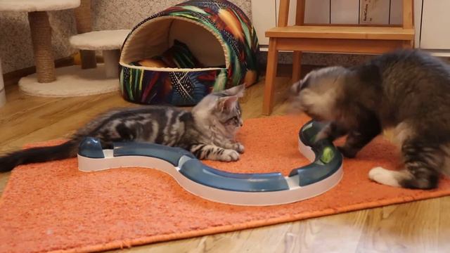 Помёт S (2) смотреть онлайн