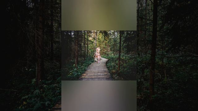 1006773780.mp4 смотреть онлайн