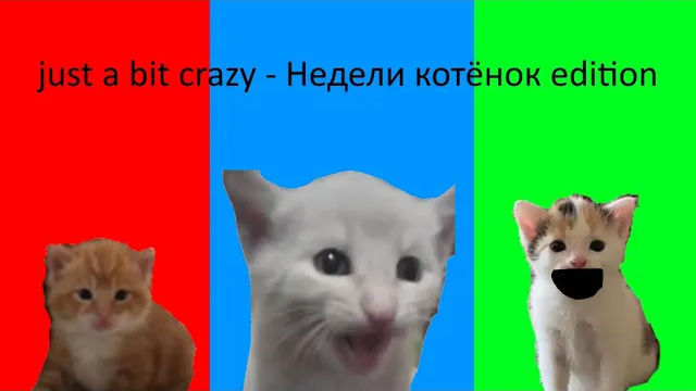 Just a bit crazy - Недели котёнок edition смотреть онлайн