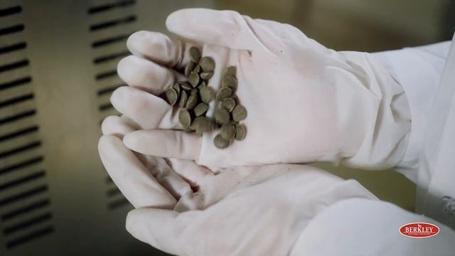 Сухие корма Berkley