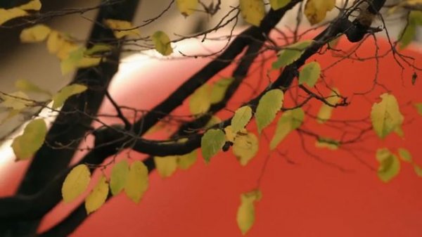 Quantum Physics: The Science That Defies All Logic | Secrets Of Quantum Physics | Progress