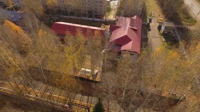 Dolphin Shoes Factory смотреть онлайн