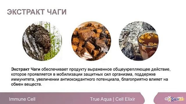 2019.06.22 Имун Селл новый продукт AGenYZ Ольга Извекова представляет смотреть онлайн