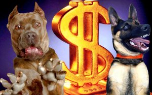 САМЫЕ СМЕШНЫЕ ПРИКОЛЫ С СОБАКАМИ 2023