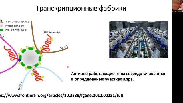Дмитрий Карпов: Как работают гены смотреть онлайн