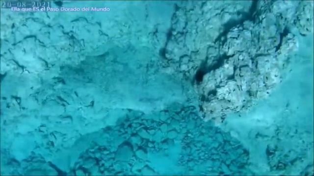 Rezar en Su Corazón Oceánico ┃Día 1; El Ángulo Exterior de este mundo смотреть онлайн
