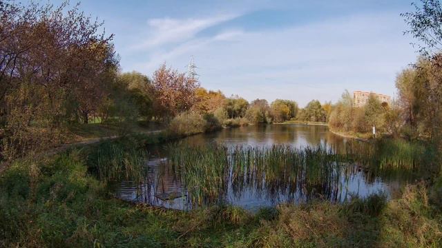 4kTimeLaps. Река Раменка. Пруд смотреть онлайн