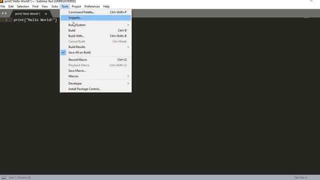 Python Tutorial #1: How to download Sublime смотреть онлайн