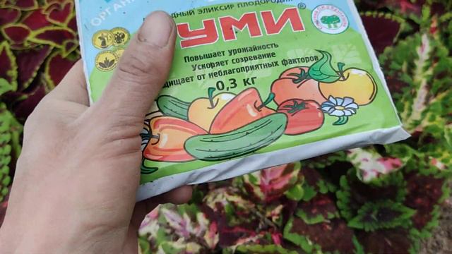 KOLYUS GULNI PARVARISH QILISH HAQDA QISQACHA VIDYO смотреть онлайн