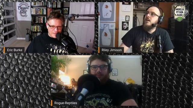 Morelia Python Radio- Eric and Owen смотреть онлайн