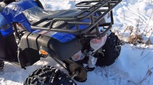 GRIZZLY 250 цепной привод.