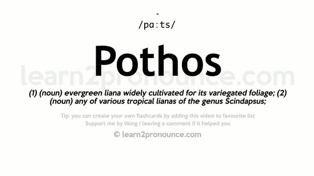 Pronunciation of Pothos | Definition of Pothos смотреть онлайн