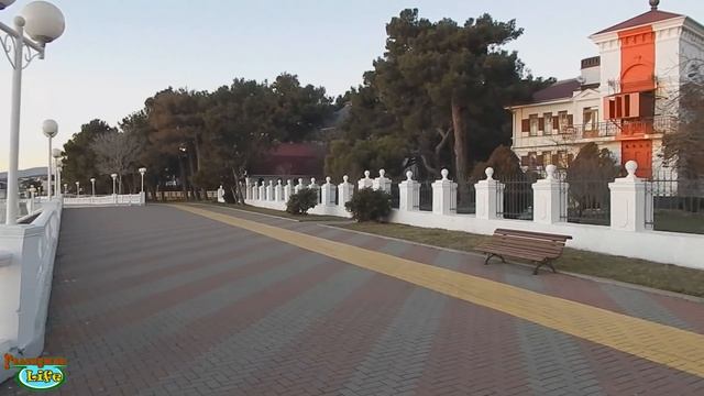 VLOG 212 Геленджик LIFE Ветеринарные клиники, площадки смотреть онлайн