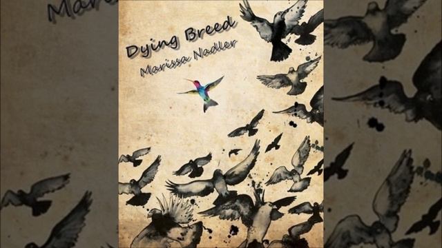 Dying Breed - Marissa Nadler (lyrics) смотреть онлайн