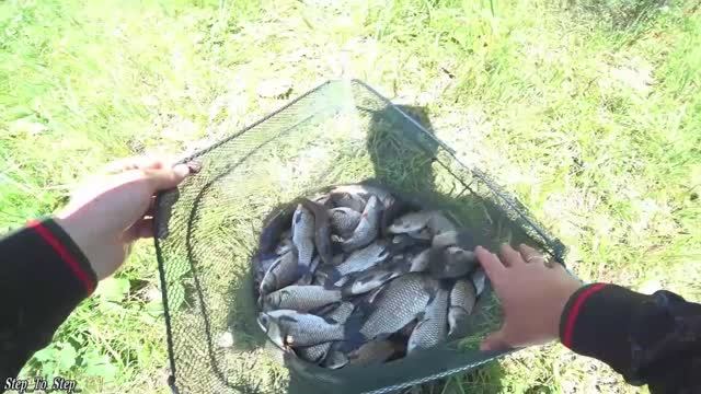 КАРАСЯ нащелкал "как кнутом". РЫБАЛКА в Воронежской области. Часть 3. 3 июл. 2020 г. смотреть онлайн