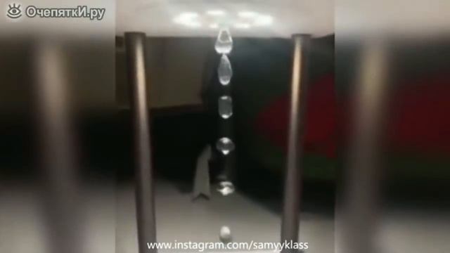 Я не смог удержаться , а ты сможешь ??? Я думаю нет ) смотреть онлайн