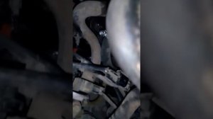 Установка подогрева северс+ на киа Рио 2012 го