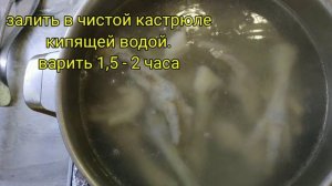 ВОССТАНОВИТ хрящи суставов 1 ложка в день. КАК ПРАВИЛЬНО ПРИГОТОВИТЬ и принимать