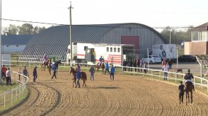 Павловские скачки, посвящённые дню Павловского района