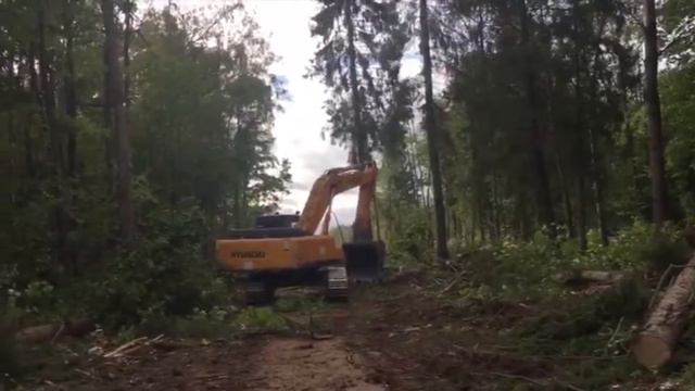За ночь вырубили лес, недалеко от поворота на поселок Новый смотреть онлайн
