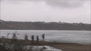 Новости с пляжа Любимовка от реки Бельбек . Экспресс выпуск 19.11.2023г.