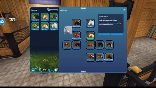 Покупка Ахалтекинской лошади! Жемчужина конюшни😍/StarStableOnline