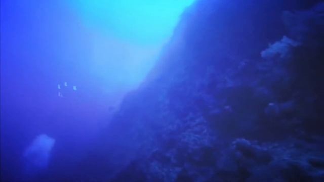 Дайверы и водолаз смотреть онлайн