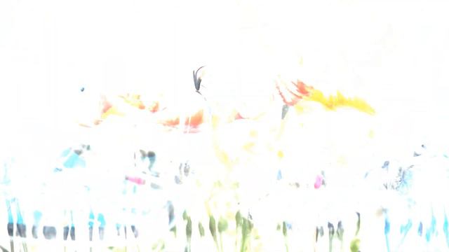 10+ Best Bird Photos Of 2017 Have Been Announced, And They’re Truly Amazing смотреть онлайн