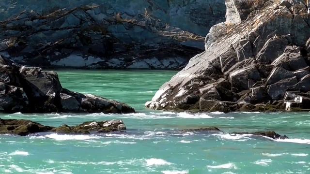 Исцеление от запора Сытин Г.Н. _ Delayed, difficult, or systematic insufficient bowel movements смотреть онлайн