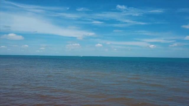 Belize Placencia Home on the Caribbean Sea For Sale смотреть онлайн