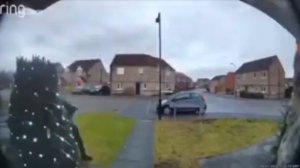 кот мяукает в домофон 1 час