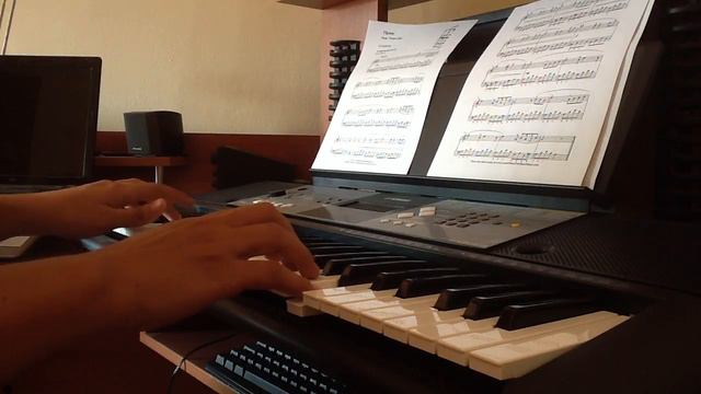 Tchaikovsky Swan Lake - Cover by Daniel смотреть онлайн