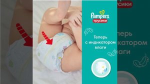 Трусики-подгузники Pampers Pants - краткий обзор