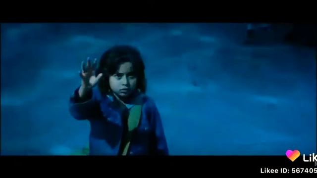 Акула захистила мальчика